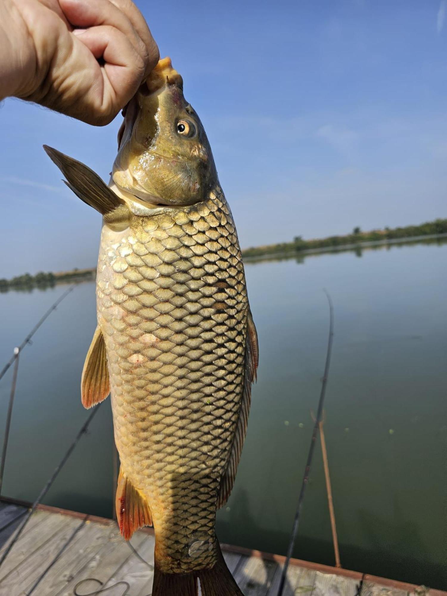 Danube Home Ostrovu Corbului Zewnętrze zdjęcie
